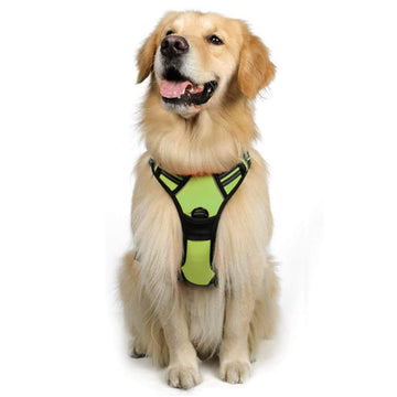 Colorful GoodMission Harness