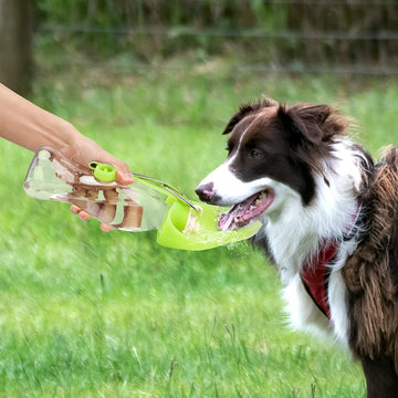 Splash ‘N Sip Pet Flip Cup