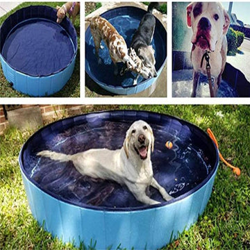 AquaPaws Adventure Pool: Foldable Dog Splash Haven