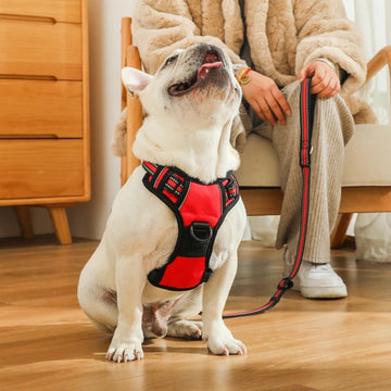 Reflective Comfort Dog Harness